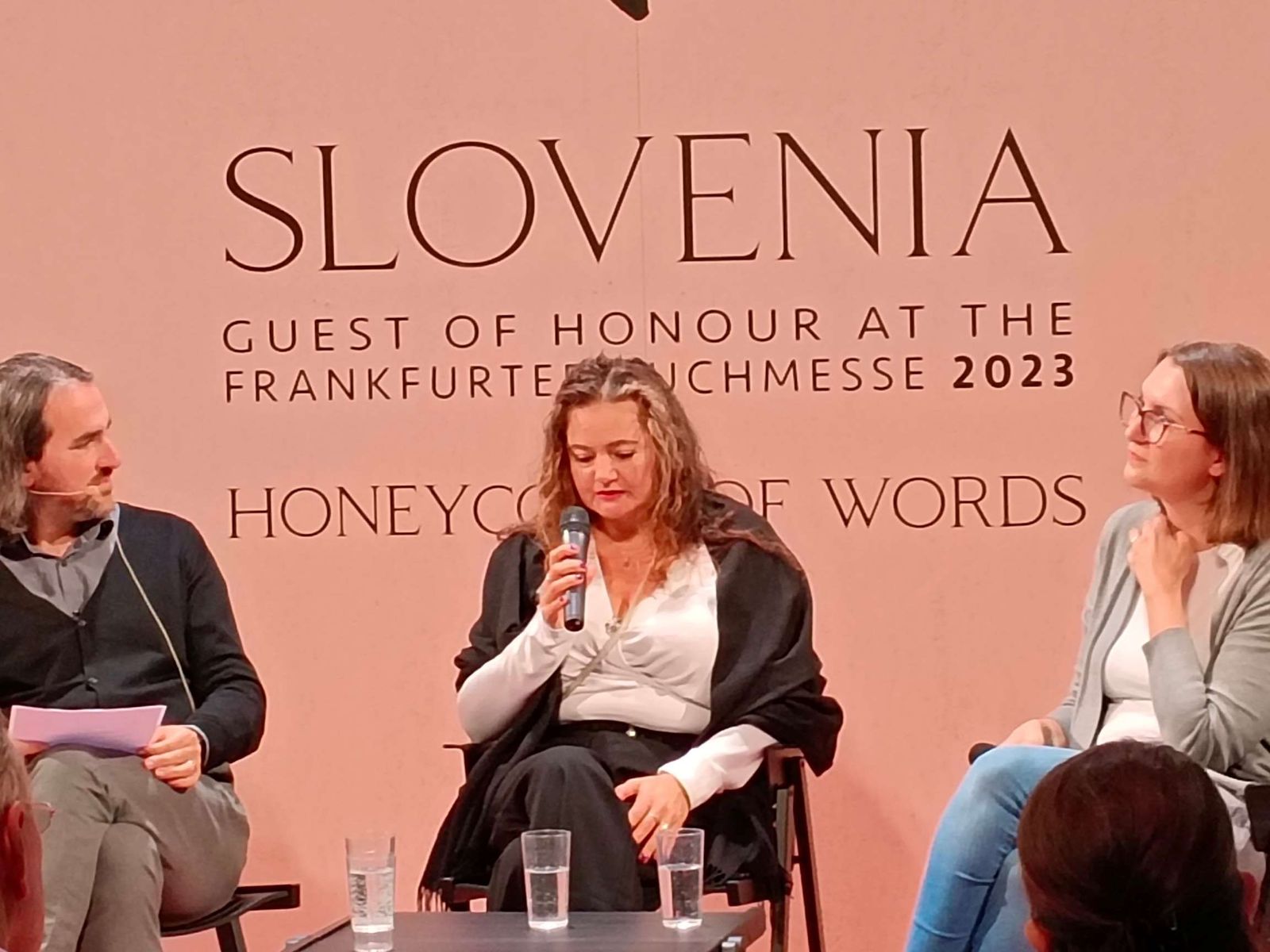 Slovenia Banner